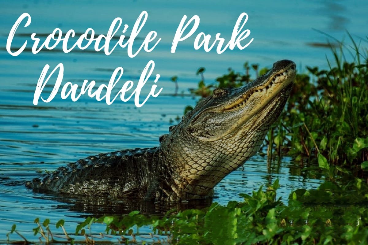 Dandeli Crocodile Park
